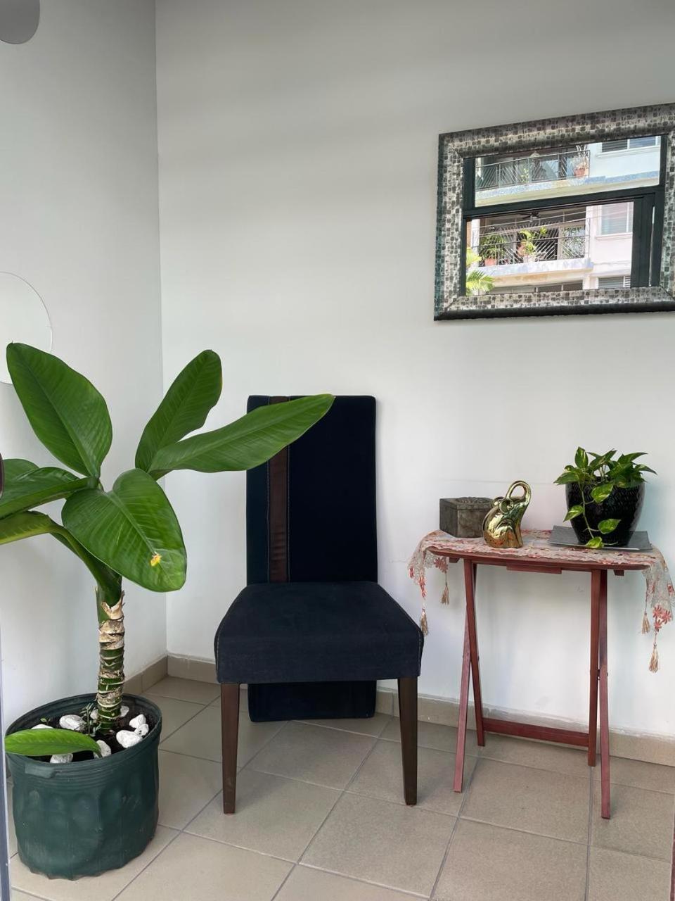 Hostal El Prado Πόλη του Παναμά Εξωτερικό φωτογραφία
