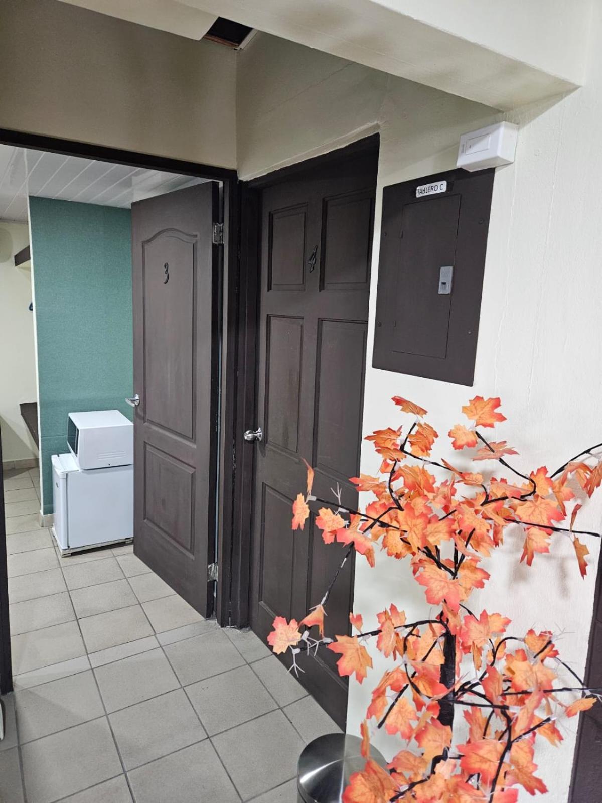 Hostal El Prado Πόλη του Παναμά Εξωτερικό φωτογραφία